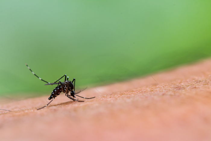 No nos relajemos con el dengue